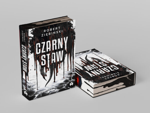 Czarny Staw - obrazek 4