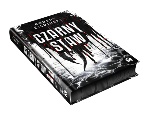 Czarny Staw - obrazek 3