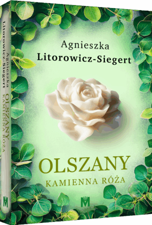 Kamienna róża