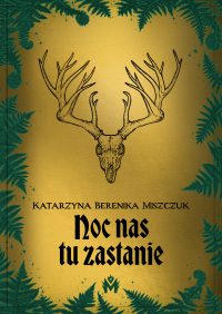 06_MiszczukKatarzynaBerenika_Nocnastuzastanie