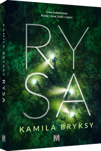 Rysa_3D