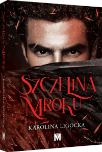 Szczelina mroku_3D
